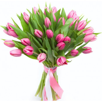 Букет 31 нежно-розовый тюльпан