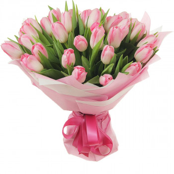Букет 31 розовый тюльпан